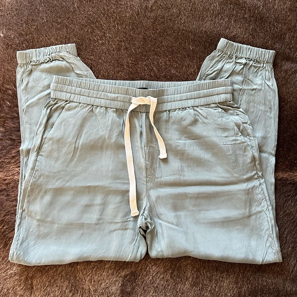 J CREW ECO CUPRO HOWARD JOGGERS Slate Green - Picture 7 of 8